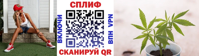 Наркошоп купить МАРИХУАНА  А ПВП  Меф мяу мяу  Амфетамин  Cocaine  Майский
