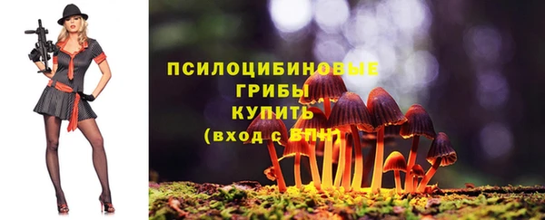 ECSTASY Белокуриха