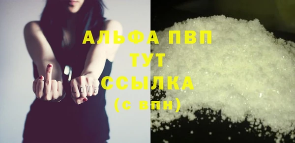 ECSTASY Белокуриха