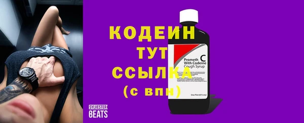 ECSTASY Белокуриха