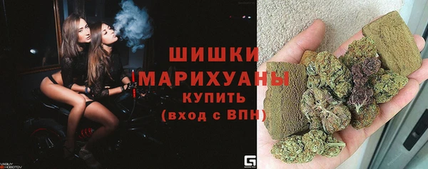 ECSTASY Белокуриха